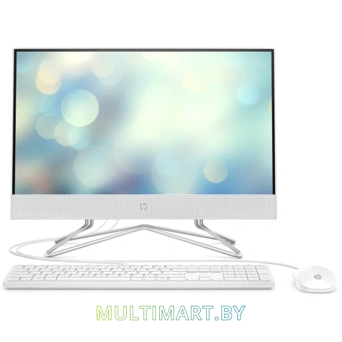 Моноблок HP 22-df0025ur (14P64EA)